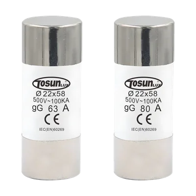 Fusibles cylindriques TOSUNLUX 22x58 gG
