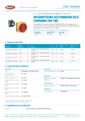 Interrupteurs-sectionneurs D11 à commande par tige